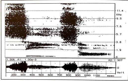 Przykład 3. Spektogram: D.Martinelli, How Musical Is A Whale, s. 208. 