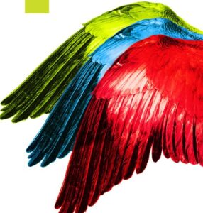 Kategorie: Rozmaitości – Patronat MEAKULTURY: Festiwal Forum Musicum