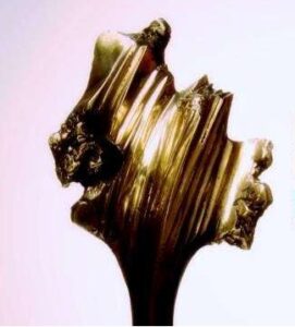 Kategorie: Rozmaitości – Koryfeusz Muzyki Polskiej - znamy nominowanych!