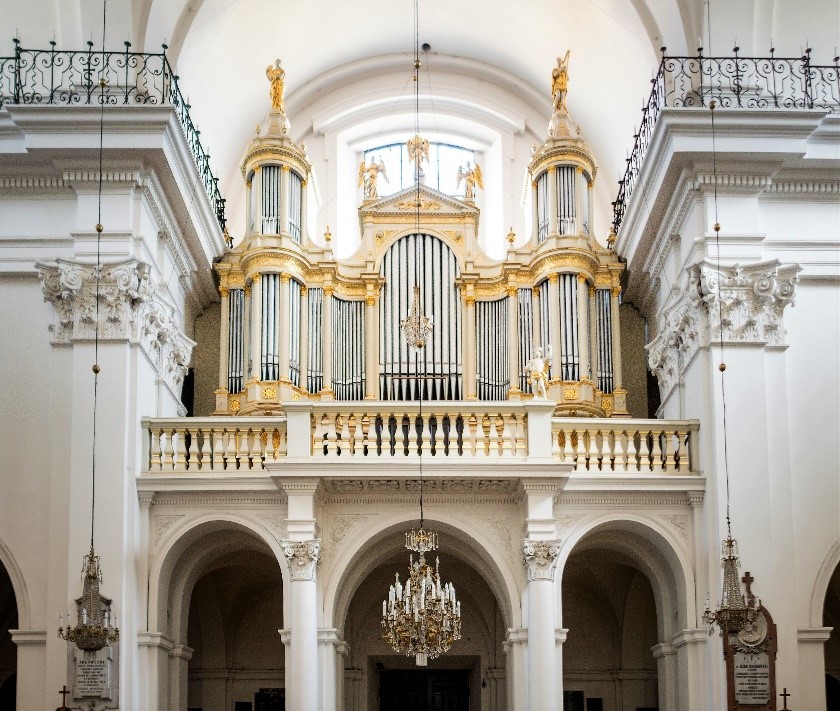 organ