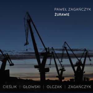 maszyny żurawie o zachodzie słońca