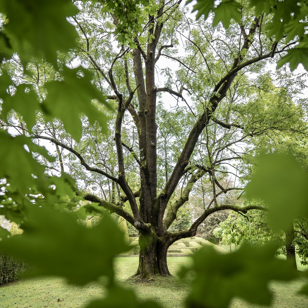 Wpływ natury na kompozytora na przykładzie lusławickiej twórczości Krzysztofa Pendereckiego (cz. II)